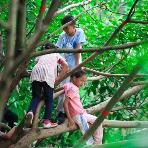 (探寻韩服dnf冒险勋章的秘密与奇遇怎么过)探寻韩服DNF冒险勋章的秘密与奇遇