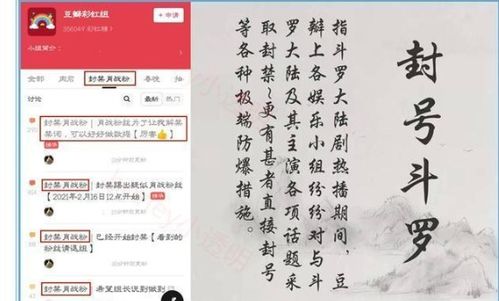 澳门刘伯温三肖资料论坛的特色|数据资料解释落实_娱乐版ISHOP.4.370