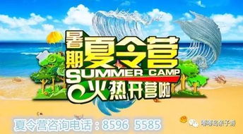 2024全年资料免费大全功能介绍|探秘美丽的海岛风情_试玩版.3.458
