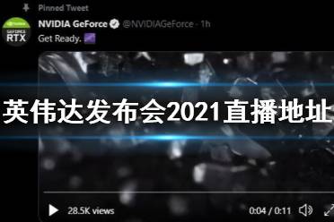 黑色五叶草下载手机版2024正版更新版-黑色五叶草官方正版手游下载v.6.24